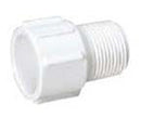 1" MALE ADAPTER PVC - 436010/238100