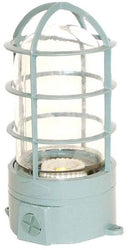 QUALITY COLD STORAGE LAMP 1802